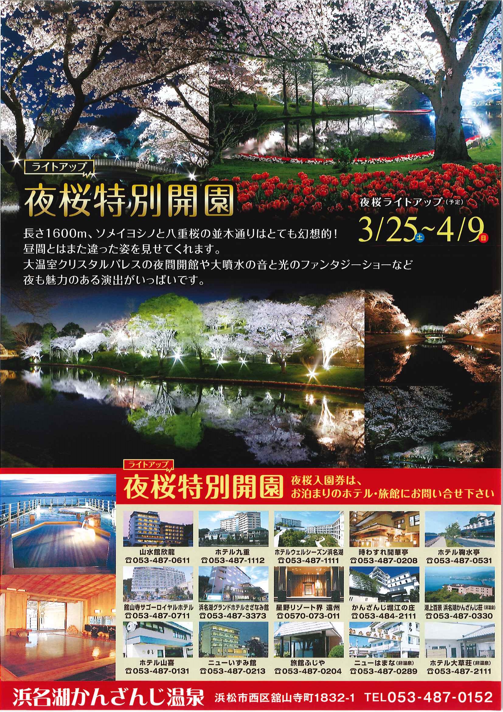 夜桜特別開園 はままつフラワーパーク 浜名湖かんざんじ温泉観光協会